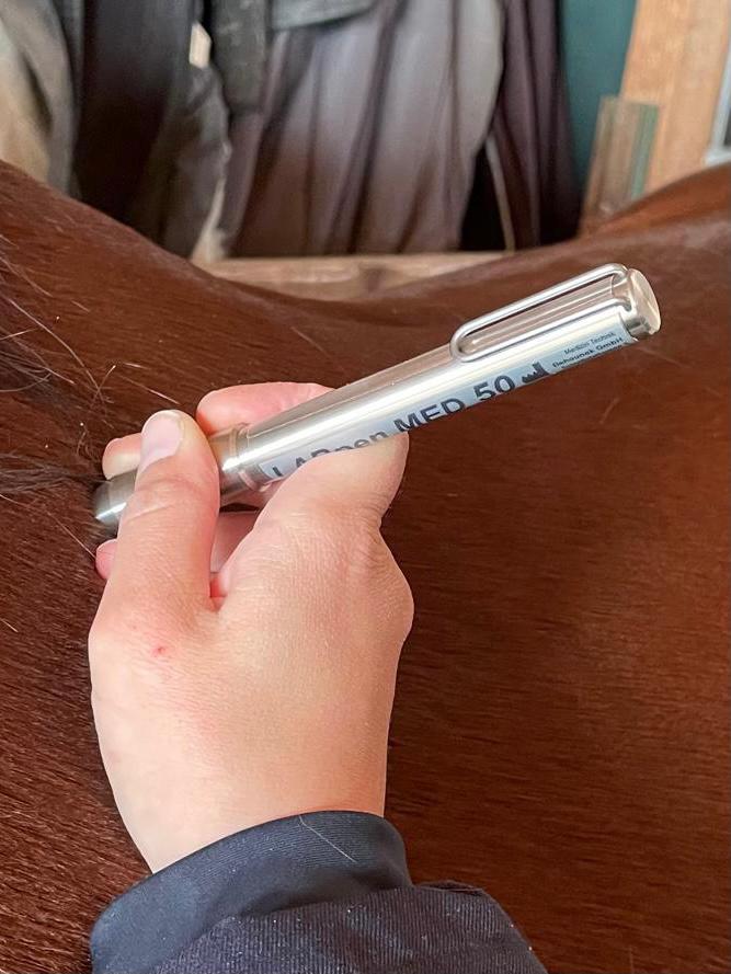 Lasertherapie Pferd durch Dr. Marion Ettl, Tierärztin, Softlaser, Laserakupunktur