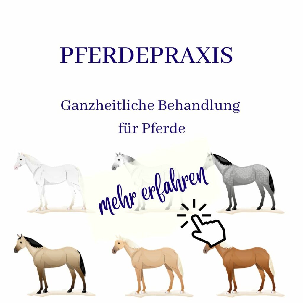 Pferdeakupunktur, Pferdeosteopathie, Pferdepraxis